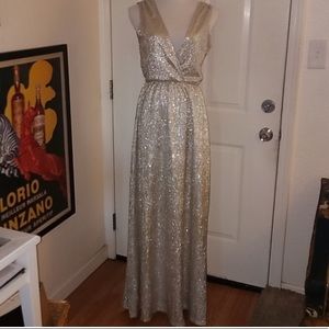 Lulu’s Silver gown